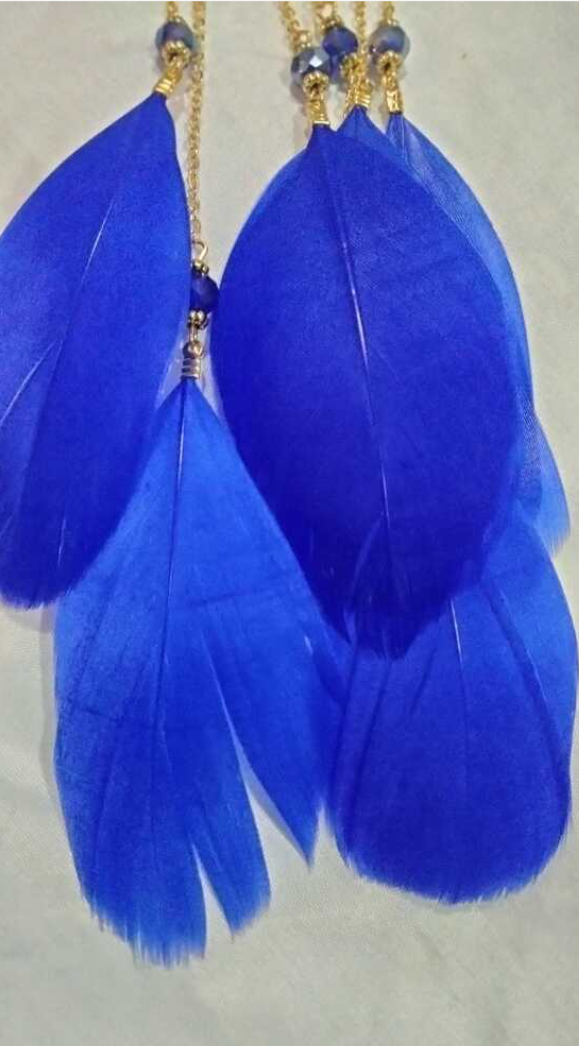 Women’s Feather Dangle Earrings