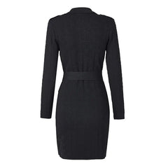 Double Breasted Sheath Knitted Sweater Dress with Belt